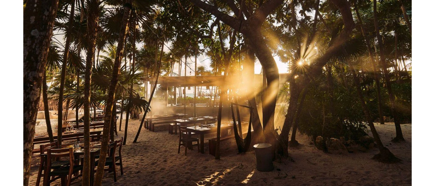 Sun rays peer through the trees in an outdoor courtyard filled with wooden tables and chairs