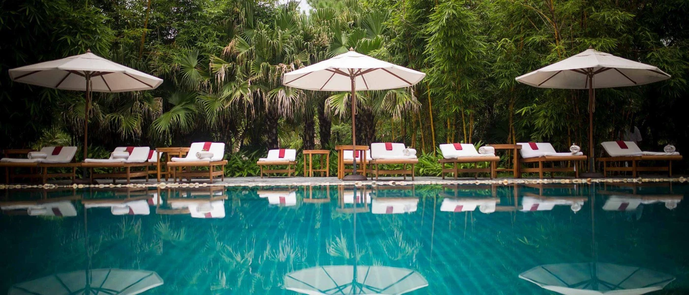Swimming pool next to a row of white loungers and parasols with tropical greenery behind