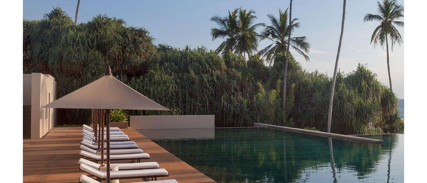 Infinity pool in wooden decking, with white cushioned loungers and stone coloured umbrellas, among a coconut grove