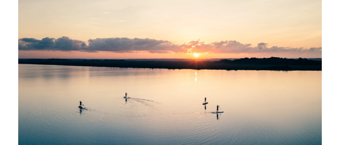 Four people paddle boarding on a lagoon as the sun rises over the jungle in the distance