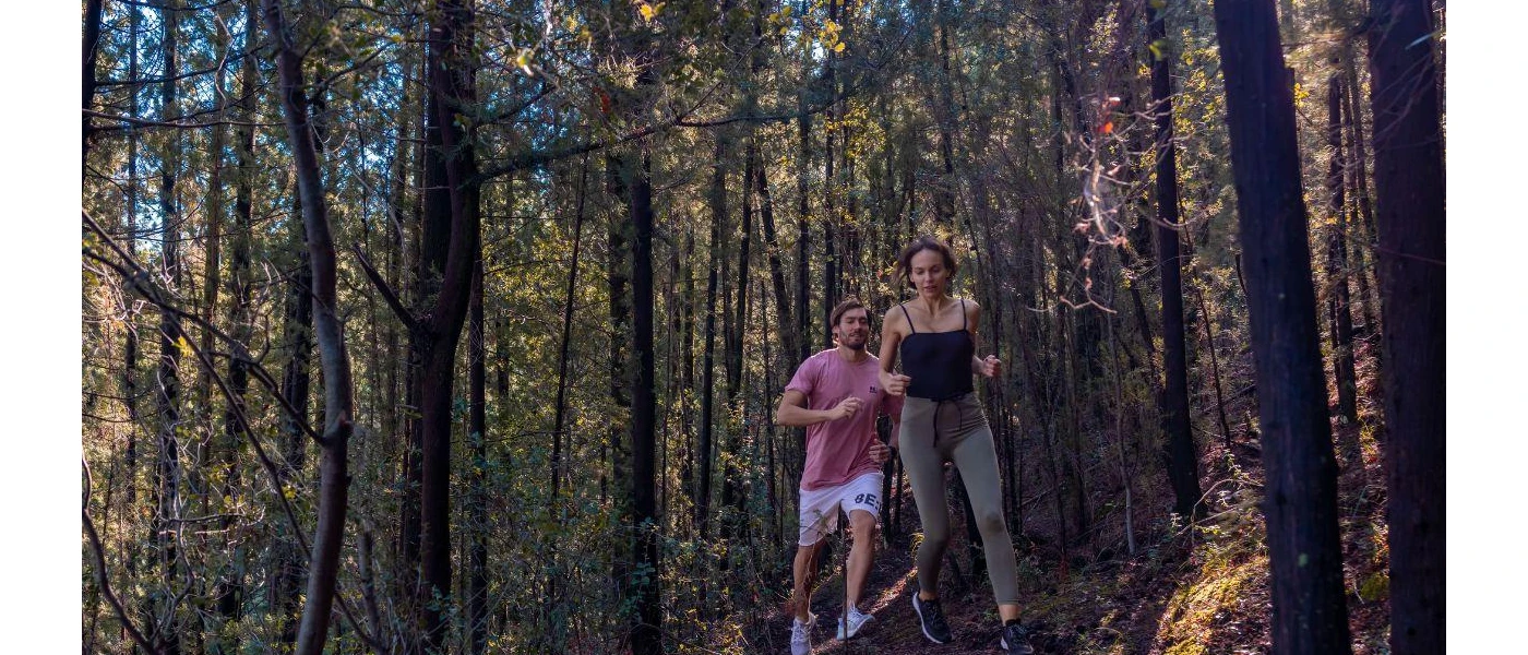 Couple jog through a leafy forest in trainers and active wear