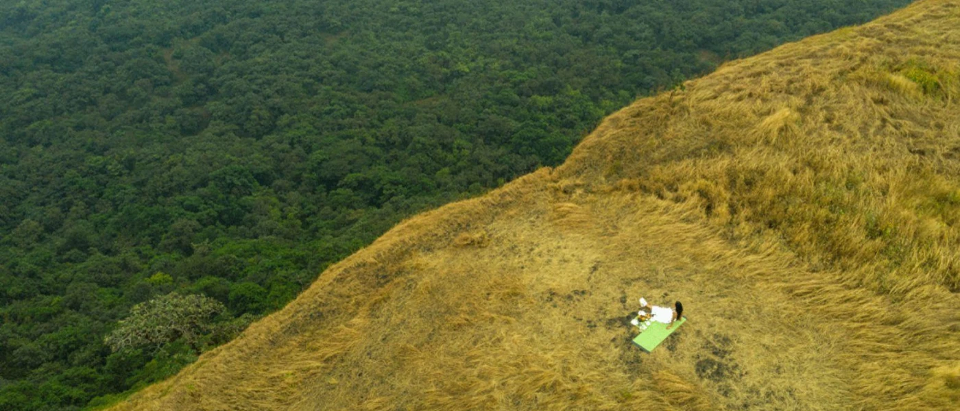 Woman in white sits on a grassy hillside overlooking thick forest, as seen from above