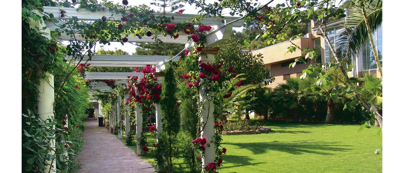 Wooden white walkway with pink flowers wrapped around it, next to a sunny lawned garden