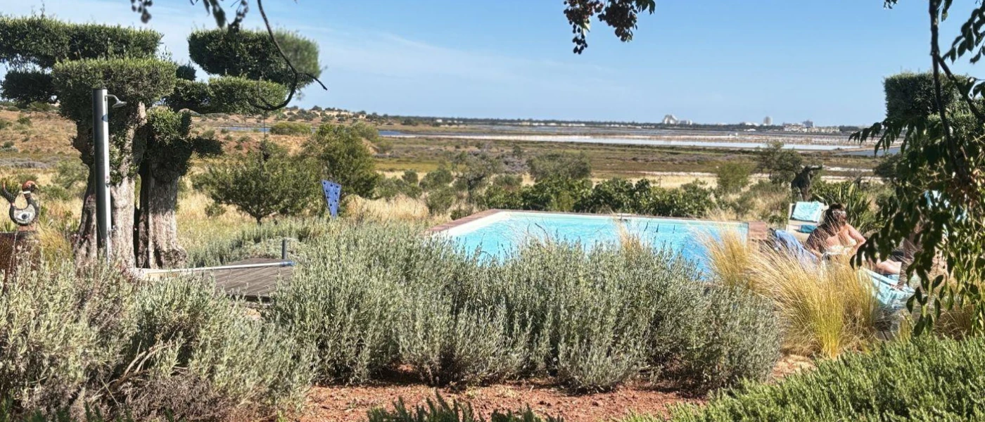 Tropical gardens surrounding a swimming pool under a blue sky
