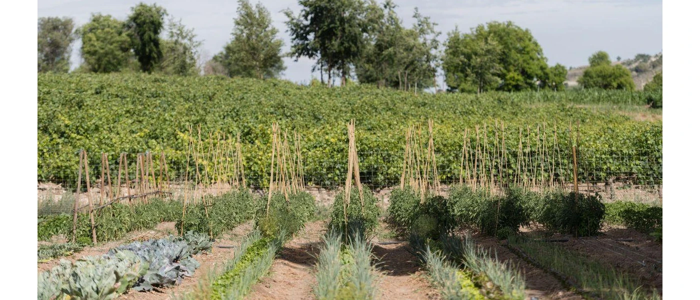 Gardens and greenery under the sunshine in rural Spain