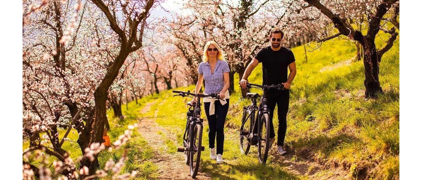 Smiling couple walk with bikes through a meadow filled with pink flowered trees