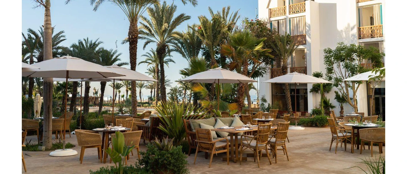 Outdoor courtyard full of palm trees, white umbrellas, wooden chairs with white cushions and tables