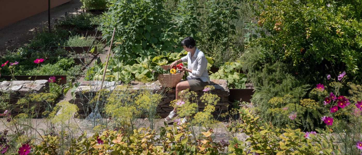 Lady doing gardening in a garden full of flowers and plants 