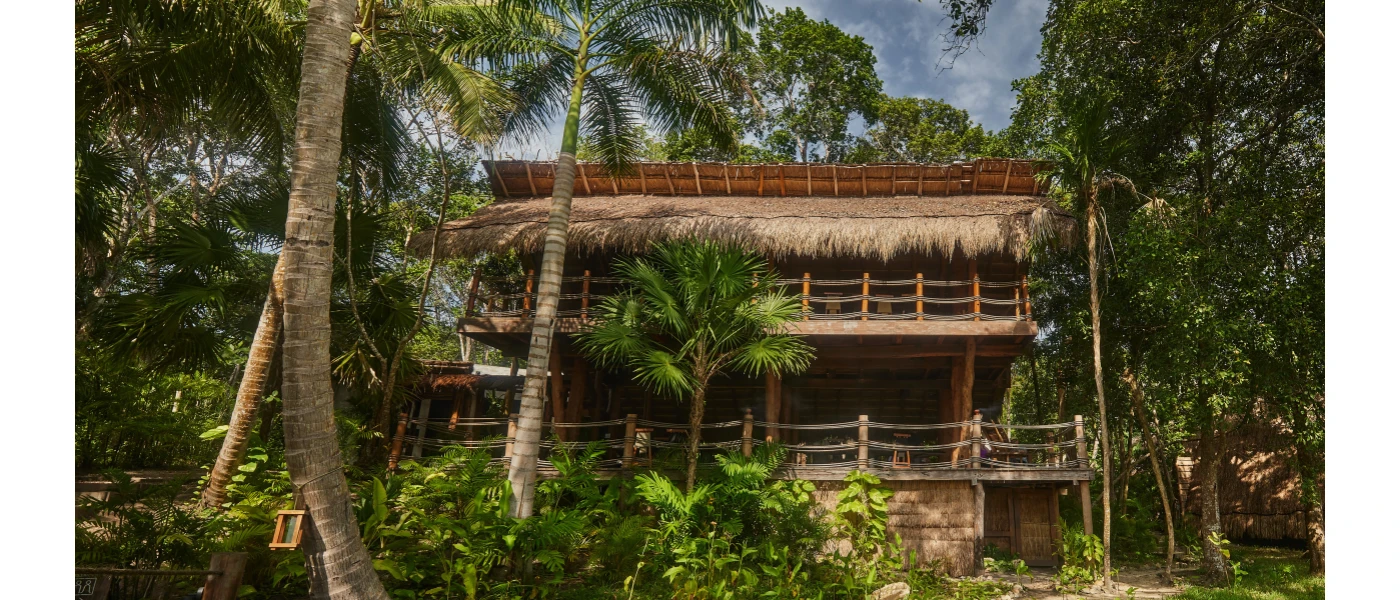 Jungle greenery surrounded a two-storey wooden building