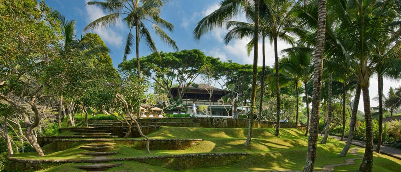 Green-cloaked terraced steps covered in trees and palms, leading down from a pool terrace