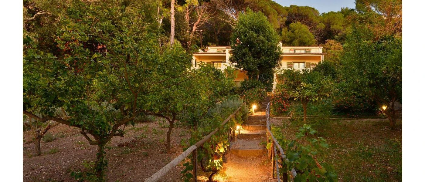 Datu Wellness i Wellbeing Escapes 