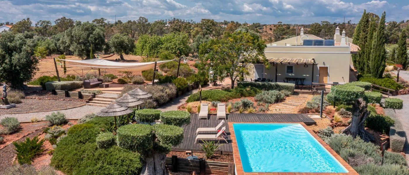 Aerial view of a rectangular swimming pool surrounded by greenery