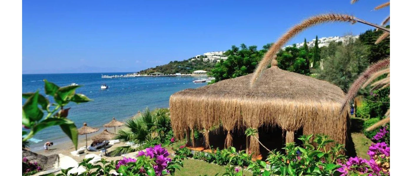 Thatched-roof cabana in a tropical garden overlooking a sandy beach and the sea