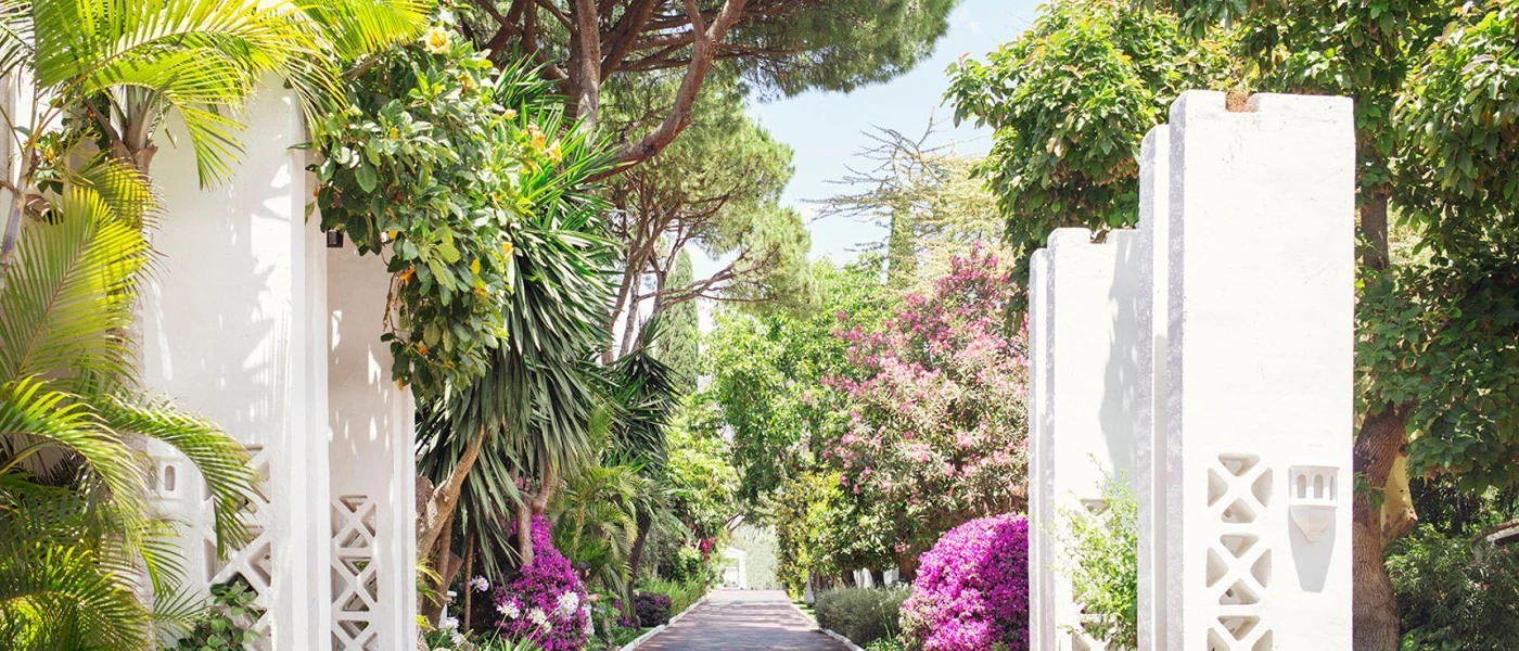 Walkway fringed with purple flowers, green trees and white columns 