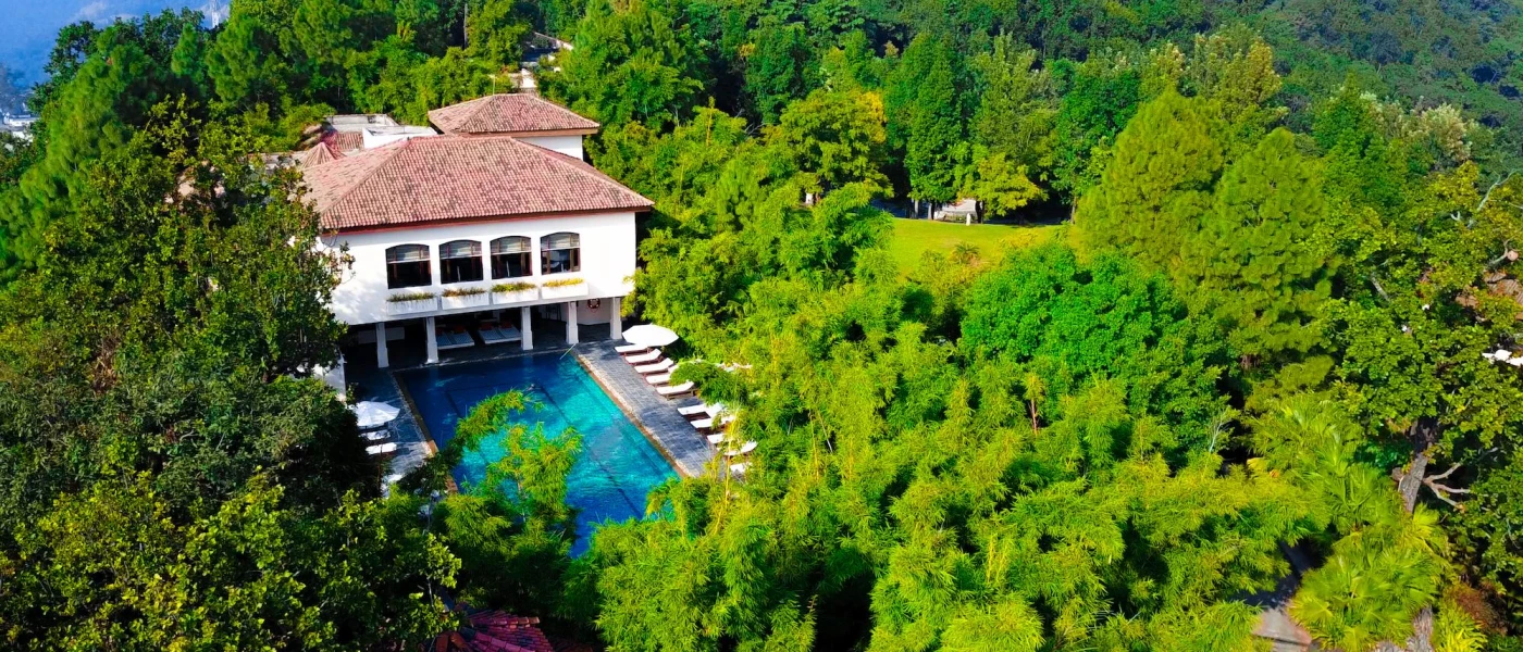 Swimming pool lined with white parasols and loungers next to a white building peeking out among tropical greenery