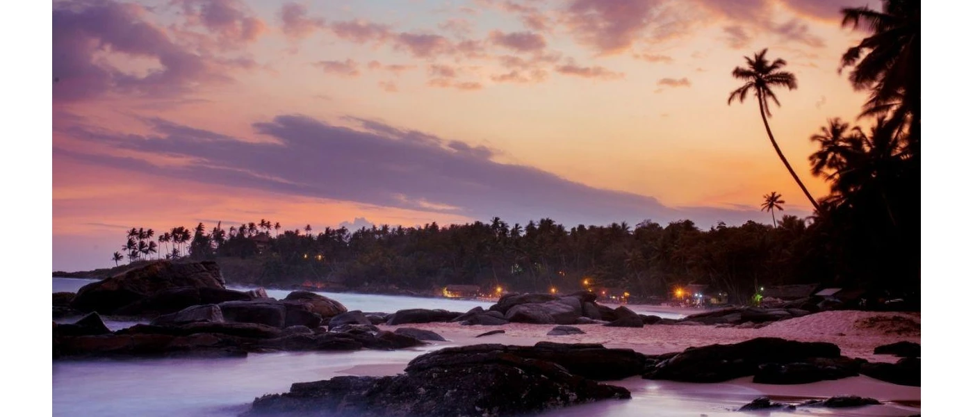 Sand and rocks at sunset, with sloping palm trees and twinkling building lights in the background