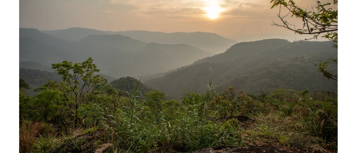 Sun sets over misty hills and forest in Kerala, India