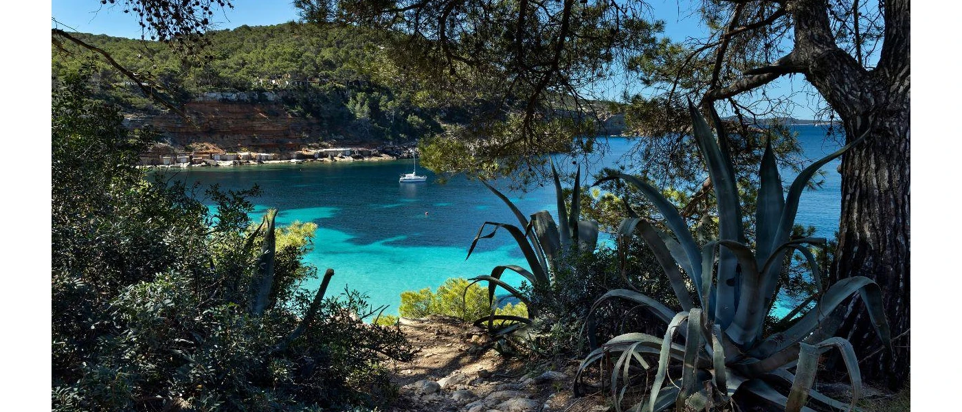 Turquoise sea water framed by lush greenery on the Ibiza coast