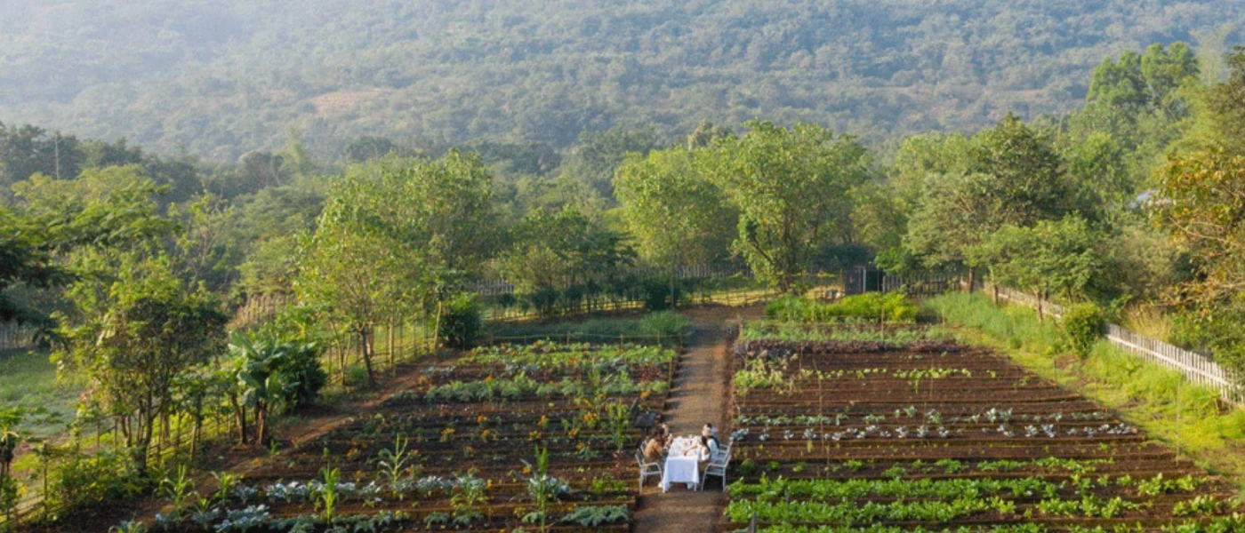 Guests enjoy a meal in the middle of an organic garden surrounded by mountains