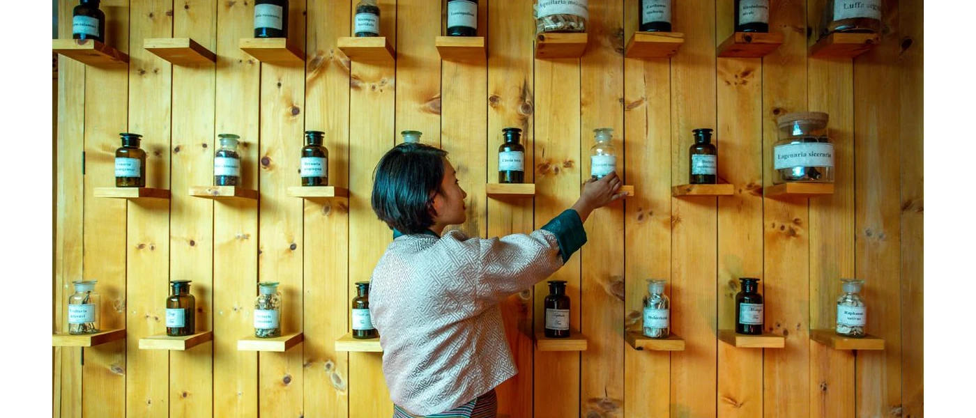 Woman reaching for herbs from a wall with shelves filled with herb bottles