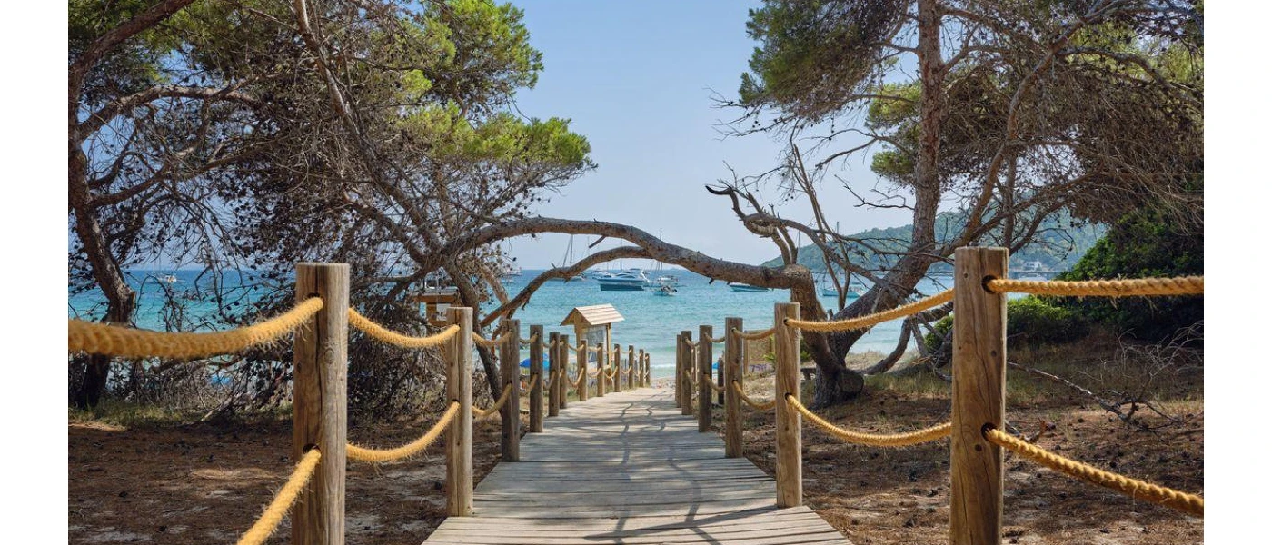Stone pathway with ropes leads down to the sea surrounded by leafy trees