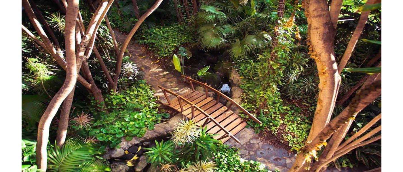 Tropical garden with stone footpaths and a small wooden bridge and 