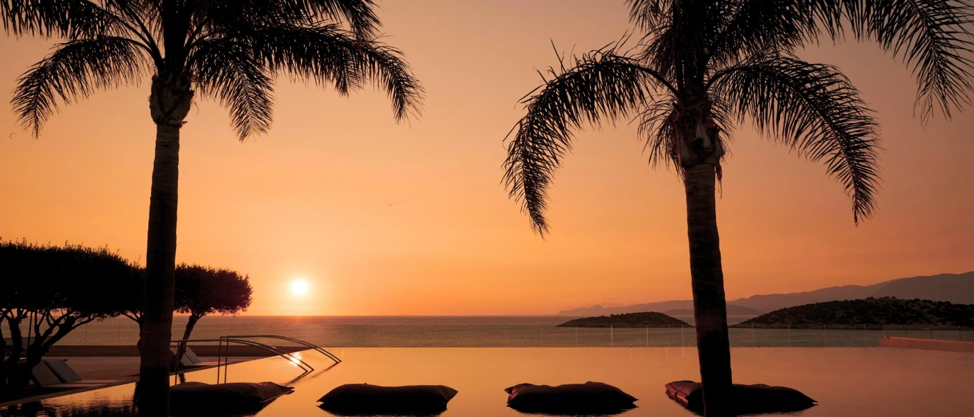 Infinity-edge pool at sunset, with two palm trees at the front and a view of the ocean and horizon beyond