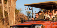 Group in camo attire and sunglasses in a red truck in the African wilderness
