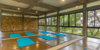 Yoga sala set up for a class with blue mats, wooden ceiling beams and floor-to-ceiling windows