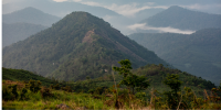 Lush green hills and forest with low-hanging clouds