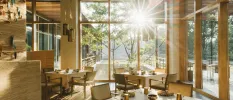 Airy restaurant with sun rays beaming through floor-to-ceiling windows, textured rattan-style walls and neutral table set-ups with gold cups