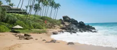 Golden sandy beach being lapped by waves, surrounded by dark rocks, a grassy hillside and sloping palm trees