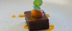 Cube of chocolate-like dessert with a fruit and mint garnish