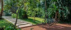 Bikes lined up next to a paved pathway surrounded by jungle greenery