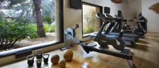 Treadmills, a bike, a rower and weights in front of floor-to-ceiling windows and tropical greenery beyond