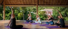 Group stretching on purple yoga mats in an open-sided thatched-roof pavilion