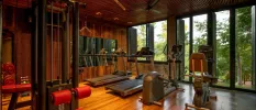 Gym with treadmills, exercise bike and weight machines with full-length windows with a jungle view