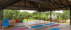 An open-sided yoga pavilion set up for a class with blue and pink mats laid out on a wooden decked floor