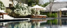 Swimming pool surrounded by bushes of white flowers, wooden loungers and white umbrellas
