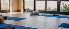 Room with full-length windows and a wooden floor, set up for a class with blue yoga mats and cushions