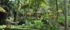 Tropical gardens with wooden huts, hammocks and terracotta plant pots