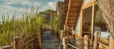 Thatched-roof accommodation with wooden decking among jungle greenery