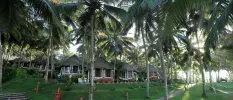 Gardens of coconut palms filled with thatched-roof huts, hammocks and lawn-lined pathways