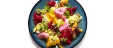 Healthy salad in yellow, pink and red colours, with herbs on top on a dark plate
