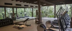 Gym with a wall of mirrors and a wall of floor-to-ceiling windows showcasing the jungle beyond, with treadmills, bikes, weights and benches