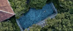 Woman in a white swimsuit in a pool surrounded by tropical greenery, as seen from the air
