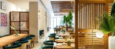 Airy restaurant with wooden partitions, green potted plants, wooden tables and blue chairs