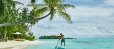 Man in blue swimming trunks stands on a paddle board in turquoise shallows next to a white-sand beach with sloping palm trees