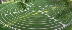 Intricate green labyrinth in a circular design 