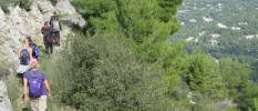 Group walking in a line along the rocky hilltops in the Greek countryside